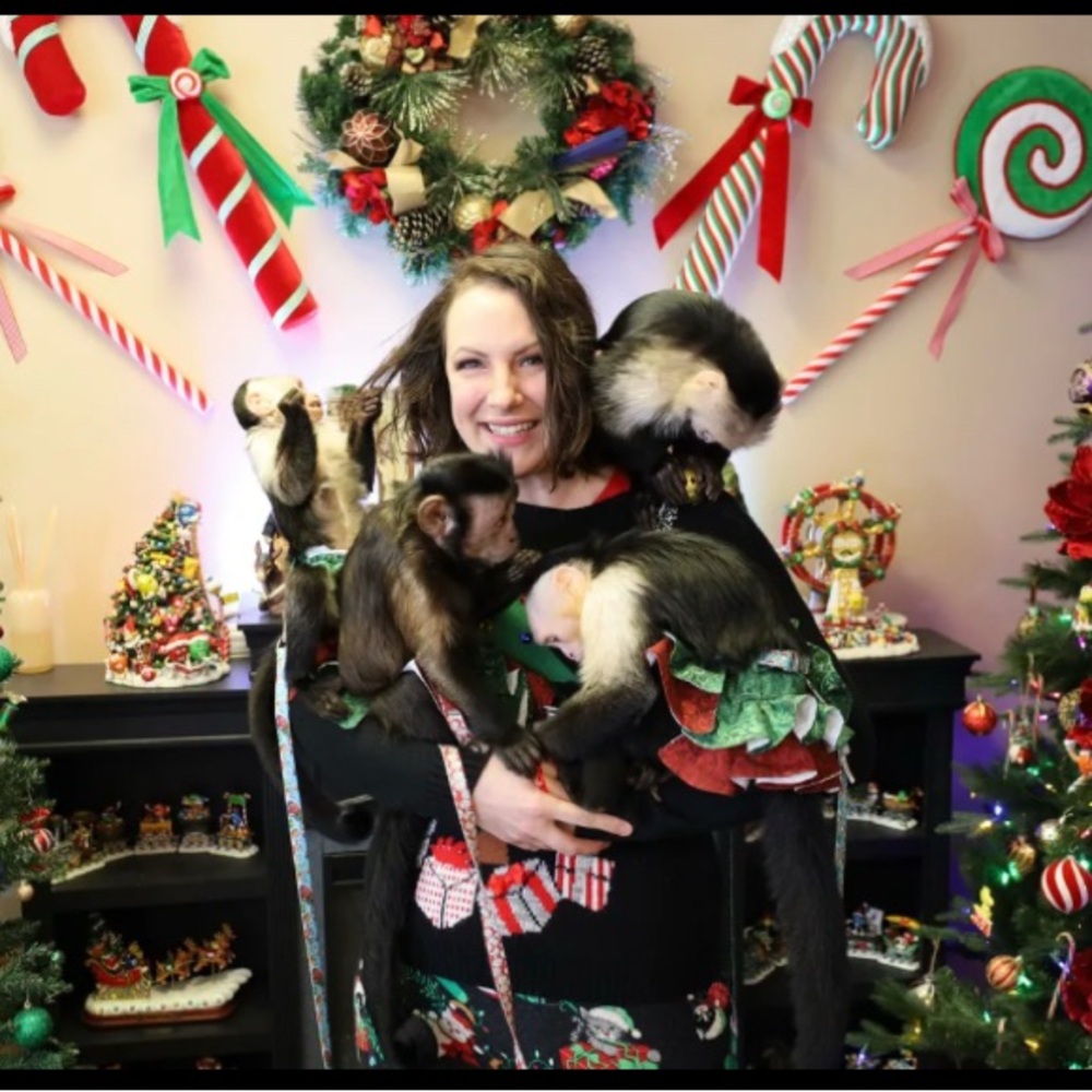 Meet your Posher, Ashlee-rose